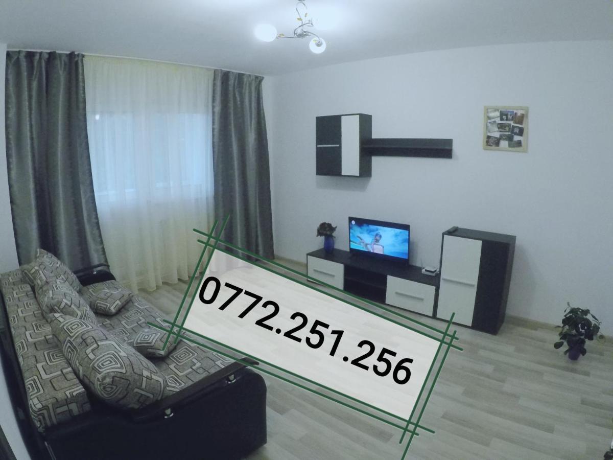 Ama Apartment Mountain View & Parking Braşov Esterno foto