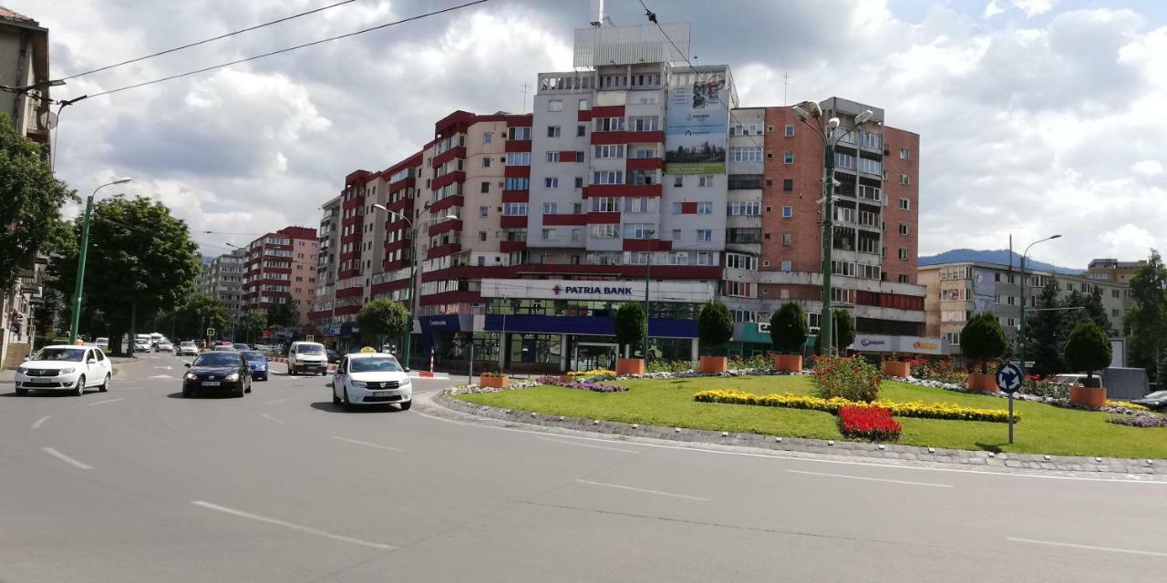 Ama Apartment Mountain View & Parking Braşov Esterno foto